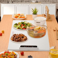 Electric Warming Tray with Adjustable Temperature